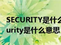 SECURITY是什么意思??注上汉字音读?（security是什么意思）