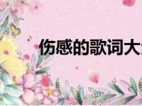 伤感的歌词大全（伤感的歌词句子）