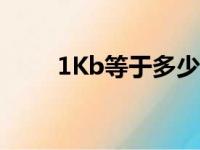 1Kb等于多少bp（1kb等于多少b）