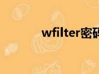 wfilter密码忘了怎么办（wf）