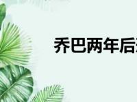 乔巴两年后形态（乔巴两年后）