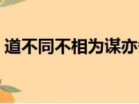 道不同不相为谋亦各从其志也翻译（道不同）