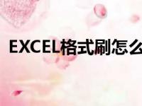 EXCEL格式刷怎么用（excel格式刷怎么用）