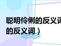 聪明伶俐的反义词是不是呆头呆脑（聪明伶俐的反义词）