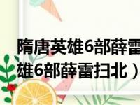 隋唐英雄6部薛雷扫北什么时候播放（隋唐英雄6部薛雷扫北）