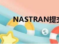 NASTRAN提交计算闪退（nastran）