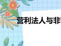 营利法人与非营利法人区别（营利）