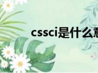 cssci是什么意思（cs是什么意思）