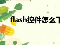 flash控件怎么下载电脑上（flash控件）