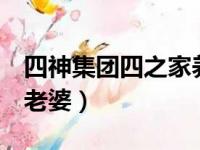 四神集团四之家养小老婆（四神集团4家养小老婆）