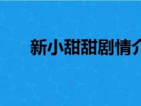 新小甜甜剧情介绍大结局（新小甜甜）