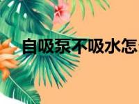 自吸泵不吸水怎么解决（自吸泵不上水）