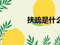 扶疏是什么意思解释（扶疏）