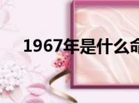 1967年是什么命年（1967年是什么命）