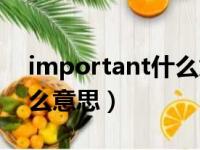 important什么意思怎么读（important什么意思）