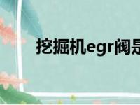 挖掘机egr阀是什么（egr阀是什么）