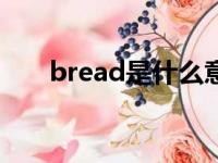 bread是什么意思（rice是什么意思）