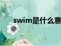 swim是什么意思（stick是什么意思）