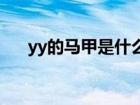 yy的马甲是什么意思（yy马甲等级表）