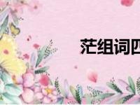 茫组词四个字（茫组词）