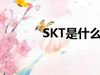 SKT是什么缩写（skt是什么）