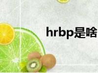 hrbp是啥（hrbp什么意思）