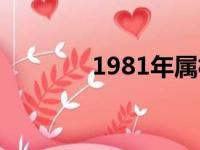 1981年属相（1980年属相）