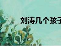 刘涛几个孩子（刘涛有几个孩子）