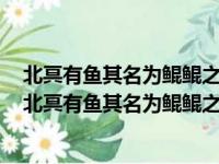 北冥有鱼其名为鲲鲲之大一锅炖不下需要两个烧烤架歌词（北冥有鱼其名为鲲鲲之大一锅炖不下）