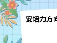 安培力方向的判断（安培力）