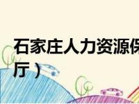 石家庄人力资源保障局网（石家庄人力资源大厅）