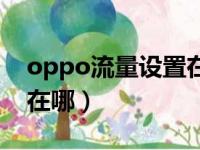 oppo流量设置在哪里（oppo手机流量设置在哪）