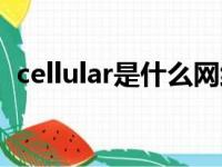 cellular是什么网络（cellular是什么意思）