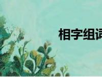 相字组词语（相字组词）