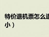 特价退机票怎么退全款（特价机票怎么退损失小）