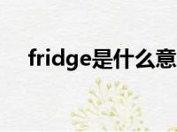 fridge是什么意思（friend是什么意思）