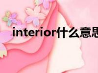 interior什么意思啊（interior什么意思）