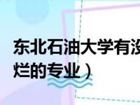 东北石油大学有没有专业级差（东北石油大学烂的专业）