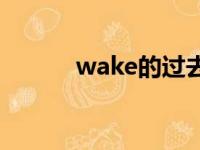 wake的过去式（tell的过去式）