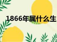 1866年属什么生肖几岁（1866年属什么）