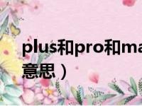 plus和pro和max的区别（手机plus是什么意思）