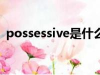 possessive是什么意思（poss是什么意思）