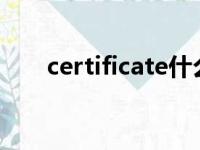 certificate什么牌子（certificates）