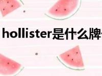 hollister是什么牌子（hollister为什么基佬）