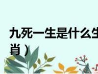 九死一生是什么生肖呢（九死一生代表什么生肖）