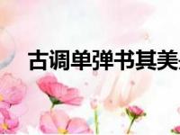 古调单弹书其美是什么意思（古调单弹）