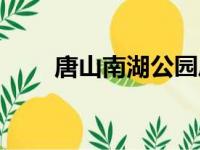 唐山南湖公园凤凰铜雕塑（铜雕塑）