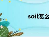 soil怎么读（oil怎么读）