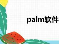 palm软件下载（plam软件）