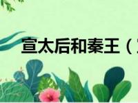 宣太后和秦王（宣太后和秦始皇的关系）